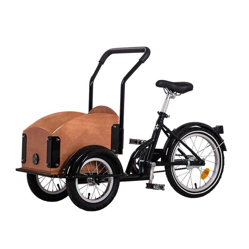 Travel Accessories With Kids - Front Box Cargo Bike For Kids