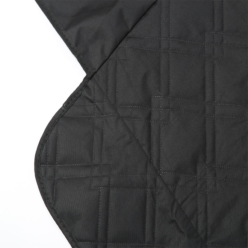 Pet Pad for Tesla Model 3 Y Re - Travel Access recensione e prezzo