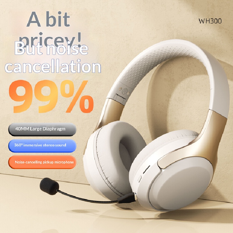 Over Ear Wireless Bluetooth He - Travel Accessories Officeworks recensione e prezzo