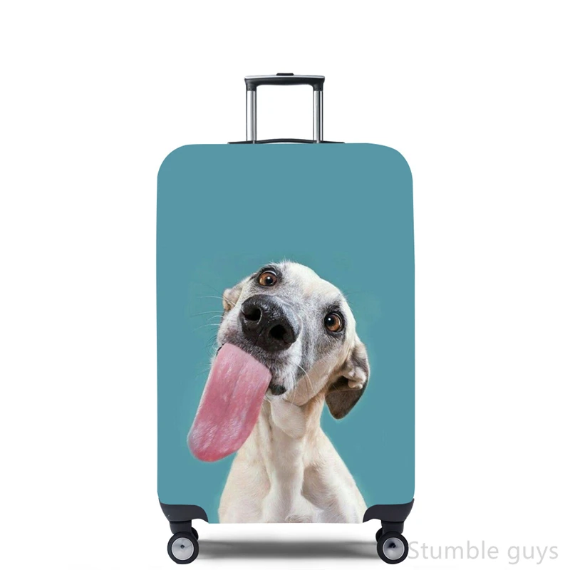 Stretchy Luggage Cover Protect - Travel Accessories Needed recensione e prezzo