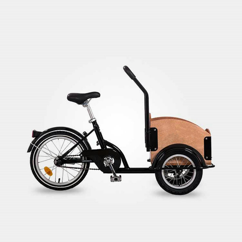 Front Box Cargo Bike For Kids  - Travel Accessories With Kids recensione e prezzo