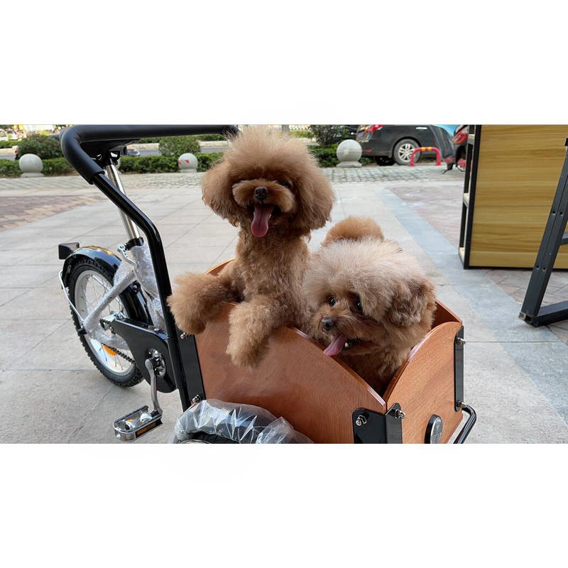 Front Box Cargo Bike For Kids  - Travel Accessories With Kids recensione e prezzo